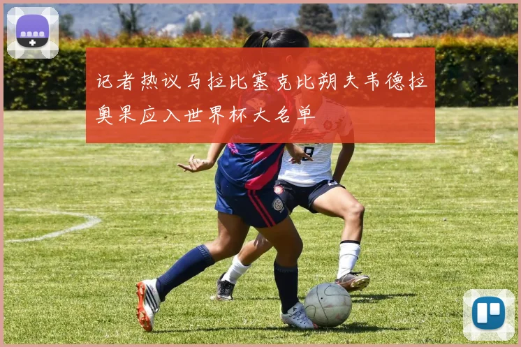 记者热议马拉比塞克比朔夫韦德拉奥果应入世界杯大名单