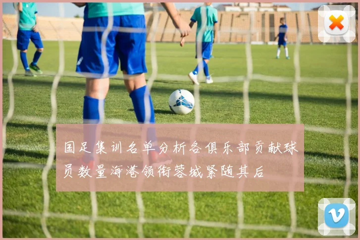 国足集训名单分析各俱乐部贡献球员数量海港领衔蓉城紧随其后